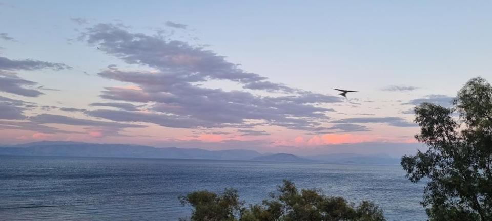 الشقق الفندقية آغيوس يوانيس بيريستريونفي  Ionian Mare المظهر الخارجي الصورة